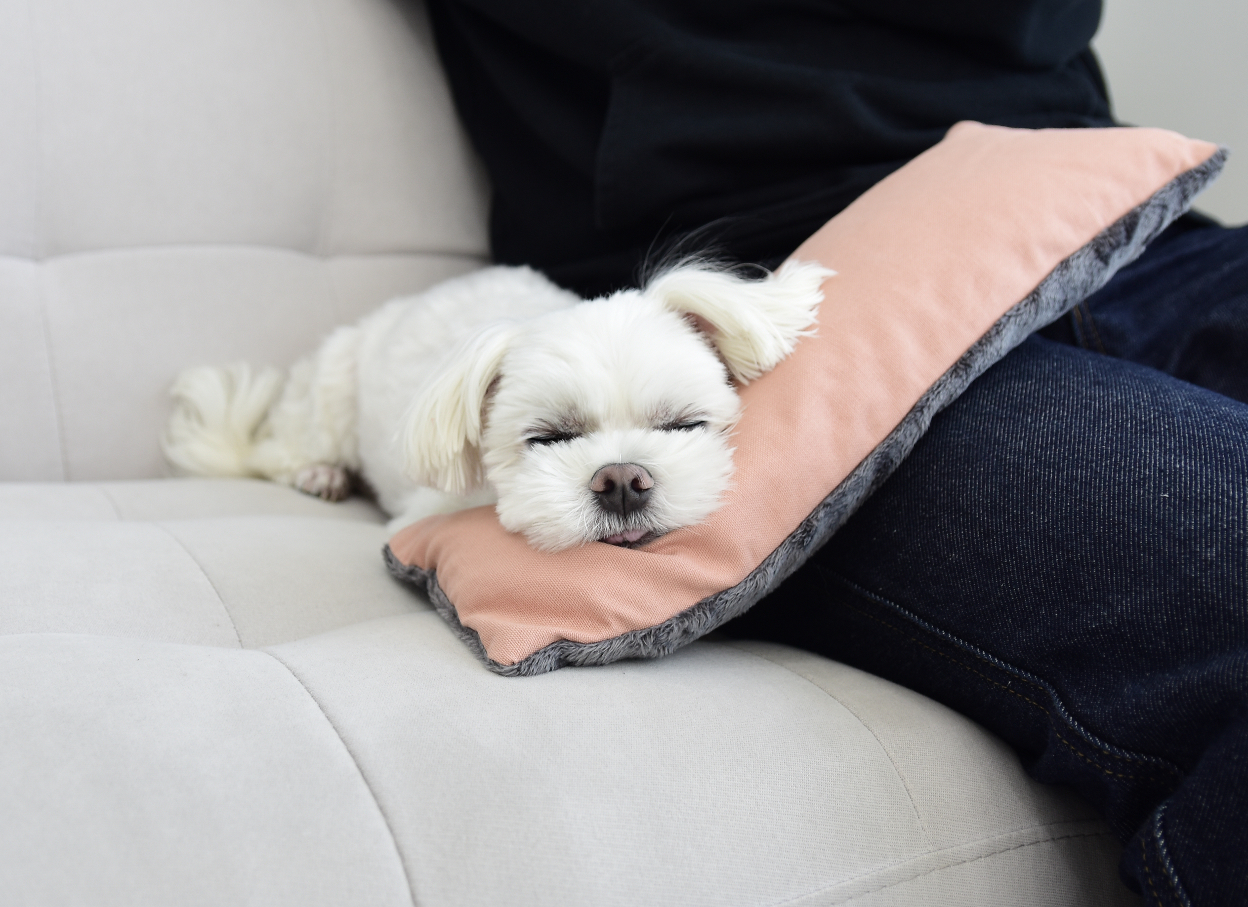 BabyDorme